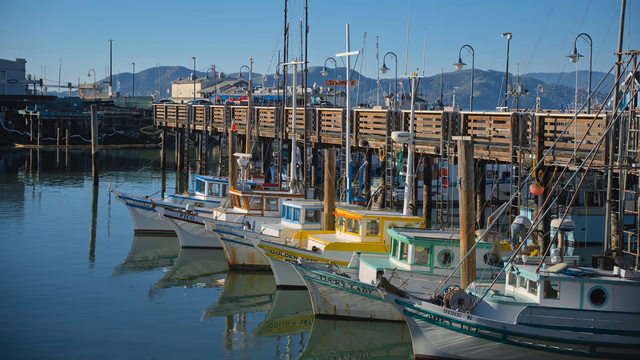 A photograph from San Francisco.
