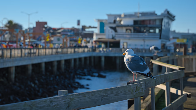 A photograph from San Francisco.