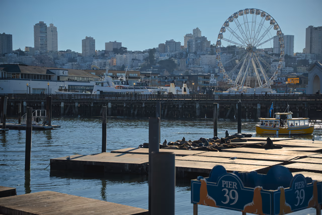 A photograph from San Francisco.