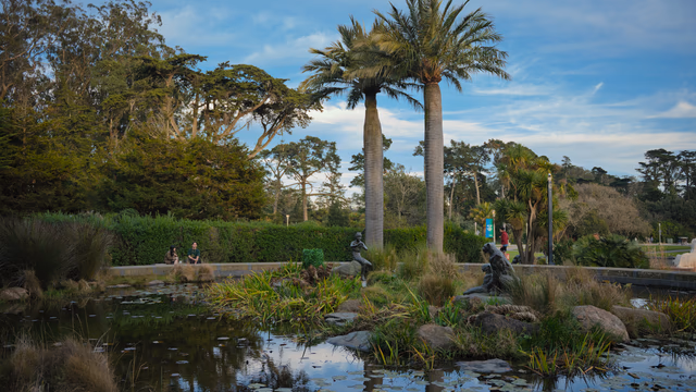 A photograph from San Francisco.