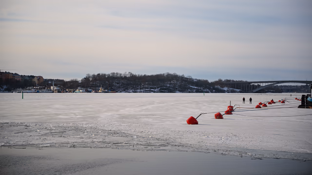 A photograph from Stockholm.