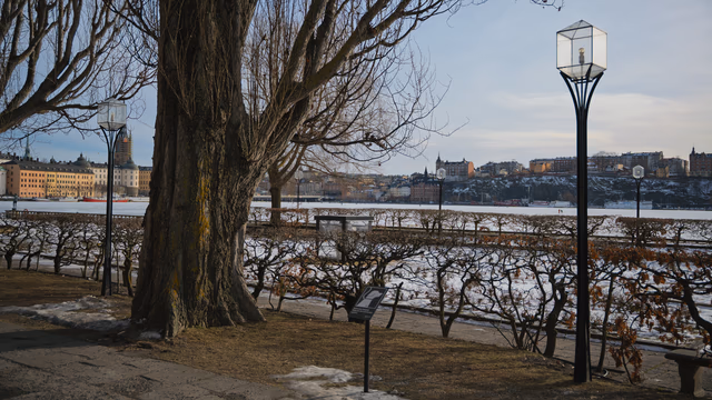 A photograph from Stockholm.