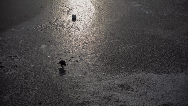A photograph from Stockholm.